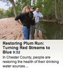 Restoring Plum Run