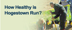 How Healthy is Hogestown Run?