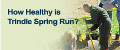 How Healthy is Trindle Spring Run?