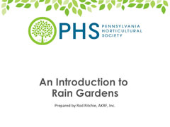 Intro to Rain Gardens